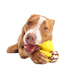 Rock Creek Eagle Super Chewer Durable 2-in-1 + Enrichment Dog Toy