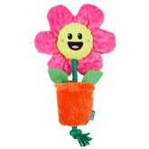 Rose the Daisy Plush Tug Dog Toy