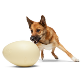 Dinosaur Egg Durable Super Chewer Extra-Large + Fetch Dog Toy