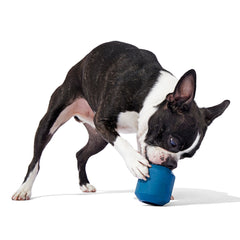 Tank Toy Super Chewer Durable Enrichment Dog Toy