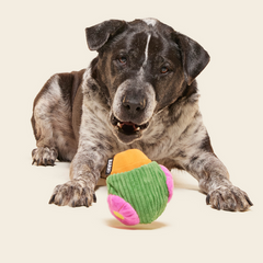 Snactus Super Chewer Durable 2-in-1 + Enrichment Dog Toy