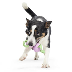 Egg-O-War Tug Super Chewer Durable Tug + Enrichment Dog Toy