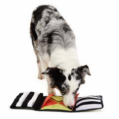 World Pup Rufferee Kit Plush Enrichment Dog Toy