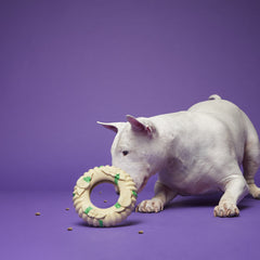 Virgo Ring Toss Super Chewer Durable Enrichment Dog Toy
