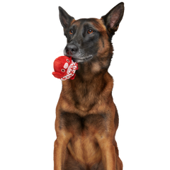 Puppy Love Penguin Durable Super Chewer 2-in-1 Rip and Reveal + Enrichment Dog Toy