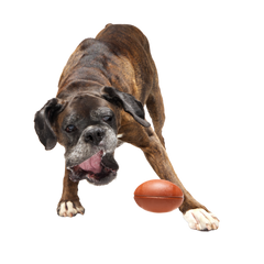 Chompionship Football Super Chewer Durable Fetch Dog Toy