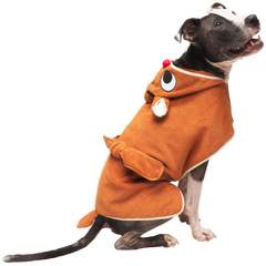 Rudolph® Dog Robe