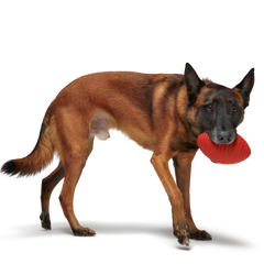 Red Zone Football Super Chewer Durable Fetch Dog Toy