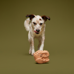 Feeding Time Durable Super Chewer Enrichment Dog Toy
