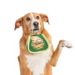 Parks Tuffel Bag Super Chewer Durable 2-in-1 Dog Toy