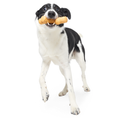 Reef Teefer Super Chewer Durable Gnaw Dog Toy