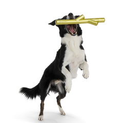 Super Stick Supreme Durable Super Chewer Fetch + Extra-Large Dog Toy