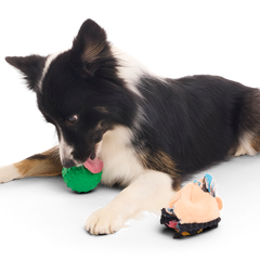 Hot-Headed Harry Super Chewer Durable 2-in-1 + Fetch Dog Toy