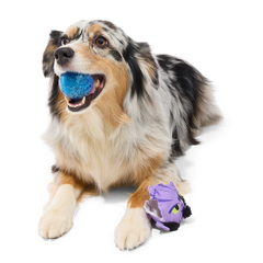 Zeb Orrelios™ Super Chewer Durable 2-in-1 + Fetch Dog Toy