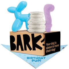 Birthday Super Chewer Box (Toy-Only) - One Month Gift Box