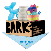 Birthday Super Chewer Box (Toy-Only) - One Month Gift Box