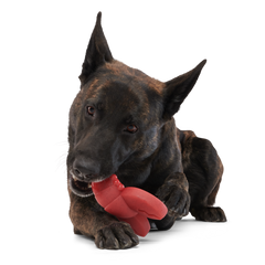 Gnawfish Super Chewer Durable Gnaw Dog Toy