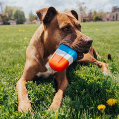 Red White + Chew Pupsicle Super Chewer Durable Gnaw Dog Toy