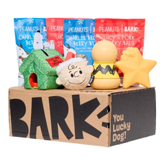 Bark 12 Month Subscription - Peanuts Double Deluxe First Box