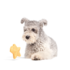 Woodstock's Star Super Chewer Durable Gnaw Dog Toy