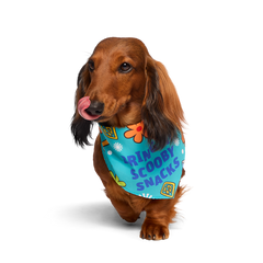 Scooby™ Snacks Dog Bandana
