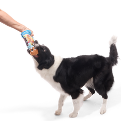 Sniff Bar Plush Tug Dog Toy