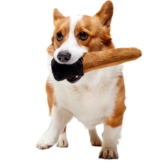 Spellbinding Wand™ Plush Tug Dog Toy