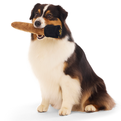 Spellbinding Wand™ Plush Tug Dog Toy