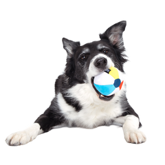 Spike The Beach Ball Super Chewer Durable 2-in-1 + Fetch Dog Toy