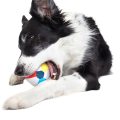Spike The Beach Ball Super Chewer Durable 2-in-1 + Fetch Dog Toy