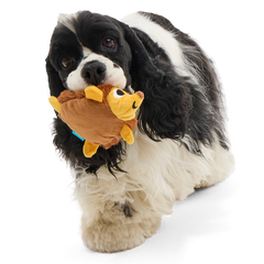Spike the Ball Hog Plush Multi-Part + Fetch Dog Toy