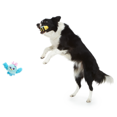 Spring Fling Plush Multi-Part + Fetch Dog Toy