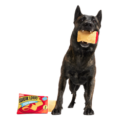 Squeak Lovers Pizza Snacks Plush Multi-Part + Enrichment Dog Toy