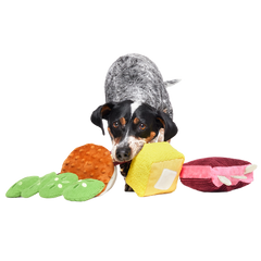 Squeak & Three Plush Multi-Part Dog Toy