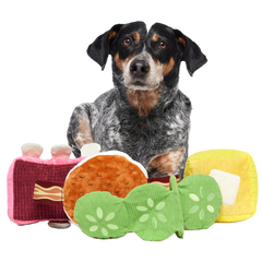 Squeak & Three Plush Multi-Part Dog Toy