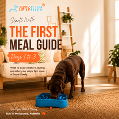 First Meal Guide | Digital Download | Super Feedy