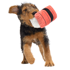 Super Tasty Tuna Sushi Plush Dog Toy