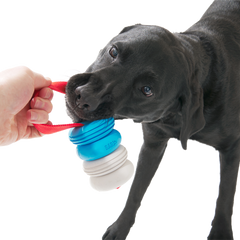 Swimming Pull Super Chewer Durable Tug Dog Toy