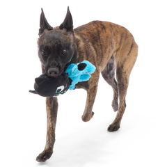 The Purrfect Crime Plush 2-in-1 + Tug Dog Toy