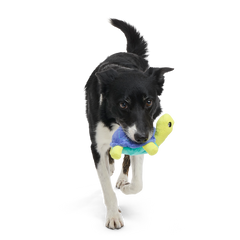 Tiago Tortuga Plush Tug Dog Toy