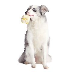Tough Chick Super Chewer Durable 2-in-1 Dog Toy