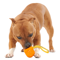 Tug Measure Super Chewer Durable Dog Toy