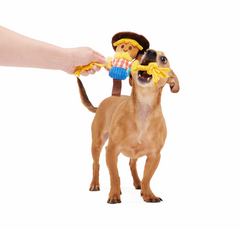 Not Scary Harry Plush Tug Dog Toy