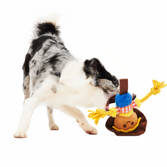 Not Scary Harry Plush Tug Dog Toy