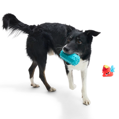 Wetted Willie Super Chewer Durable 2-in-1 Dog Toy