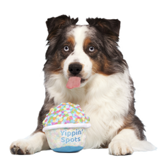 Yippin' Spots Ice Cream Plush Fetch Dog Toy