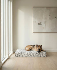 Large Orthopedic Dog Bed (Cushion, Dog Print)
