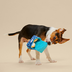 Woofganiyot Hanukkah Plush Multi-Part + Enrichment Dog Toy