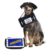 BARKBuster Video Plush Tug Dog Toy