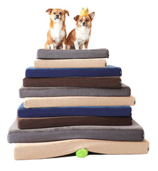 Platform Dog Bed